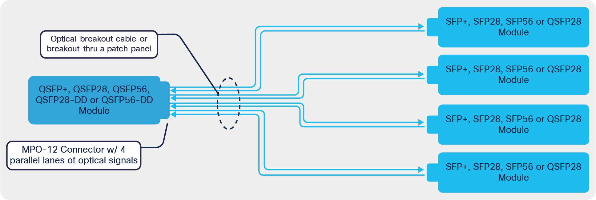 Switch with single-lane downlinks