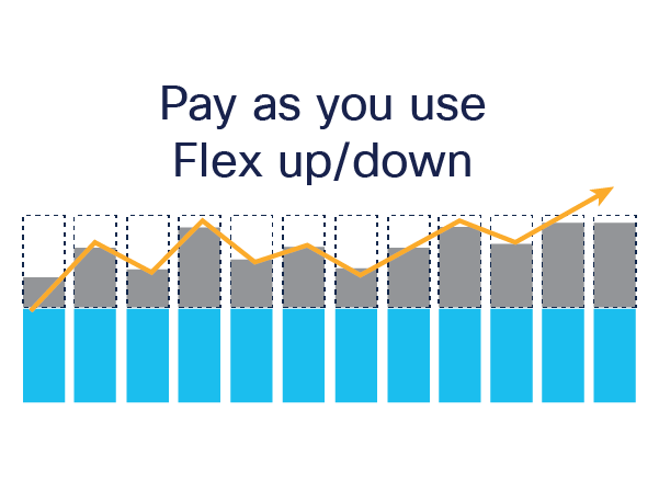 Pay as you use Flex up