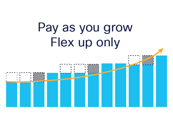 Pay as you use Flex up