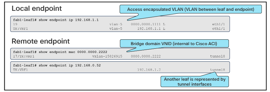 Local and remote endpoint CLI output on each leaf switch