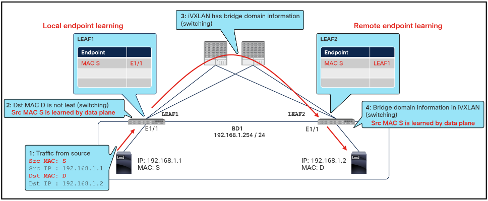Example of local and remote endpoint (MAC address) learning