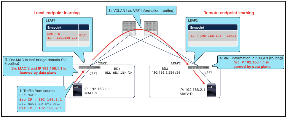 Example of local and remote endpoint (IP address) learning