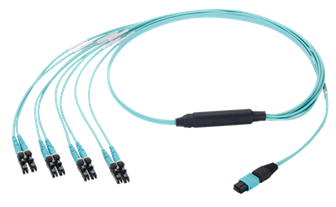 Panduit Breakout Harness