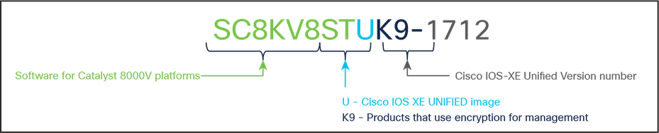 Catalyst 8000V Software PID nomenclature