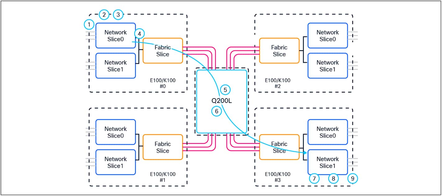 Inter-ASIC packet walk view