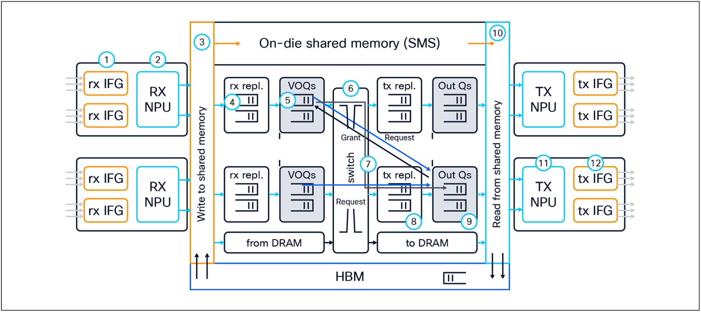 Multicast packet walk