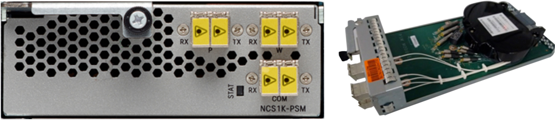NCS1K-PSM Module