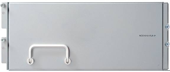 Field replaceable Passive filler for the NCS 1010 slot of the NCS 1020 chassis