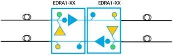 datasheet-c78-735035_4.jpg