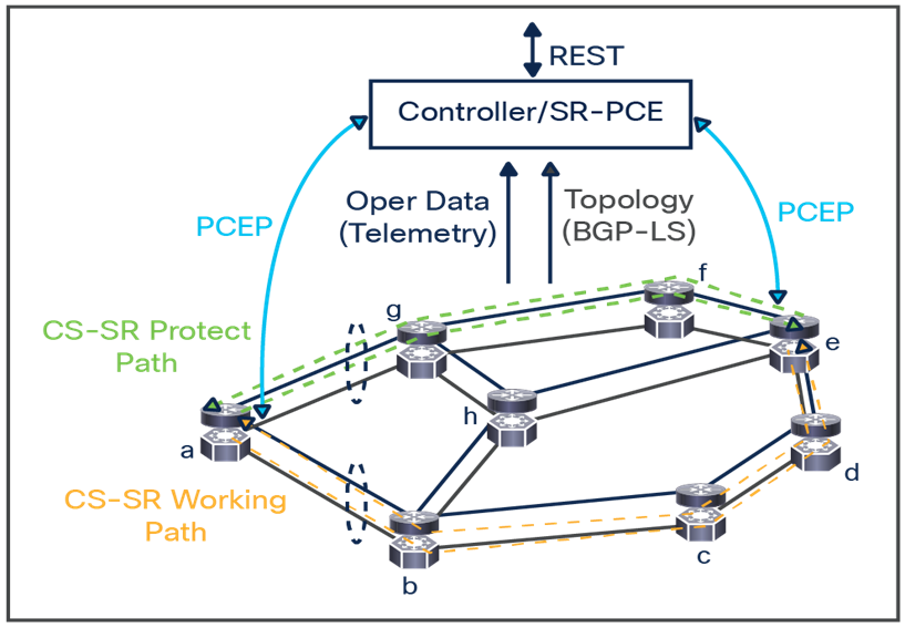 Circuit-Style Segment Routing - Routed Optical Networking innovation that enables transport friendly provisioning of protected services.
