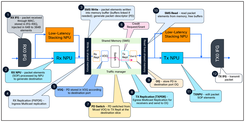 Multicast packet walk