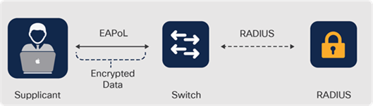 Host-to-switch MACsec encryption