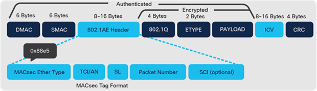 MACsec frame format