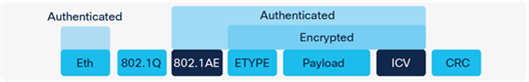 WAN MACsec frame format