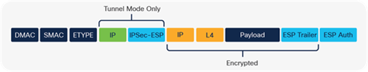 IPsec frame format