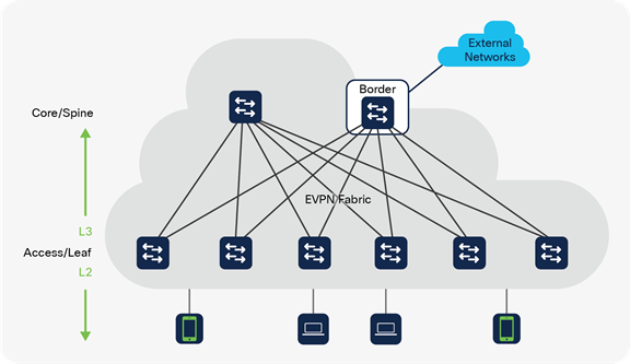 Campus EVPN design