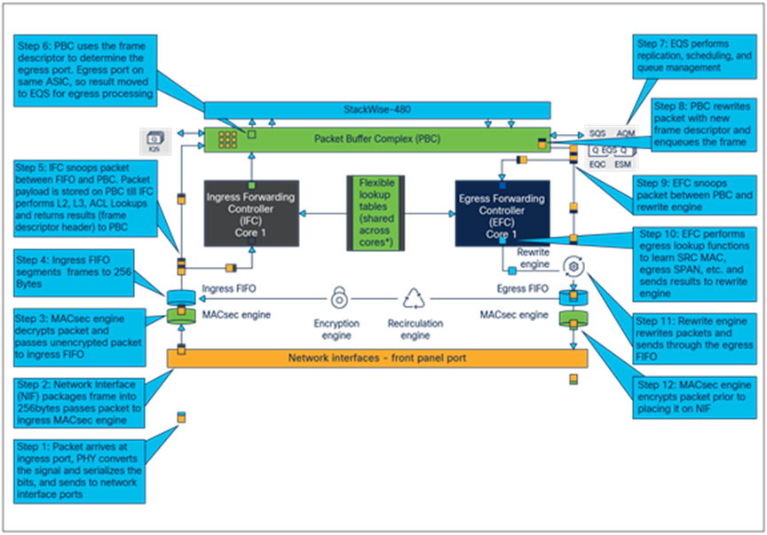 Packet walk within ASIC