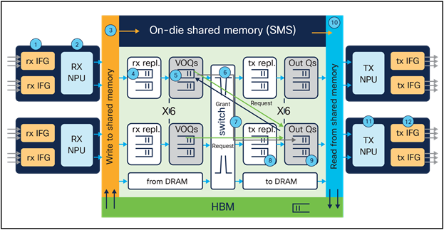 Multicast packet walk
