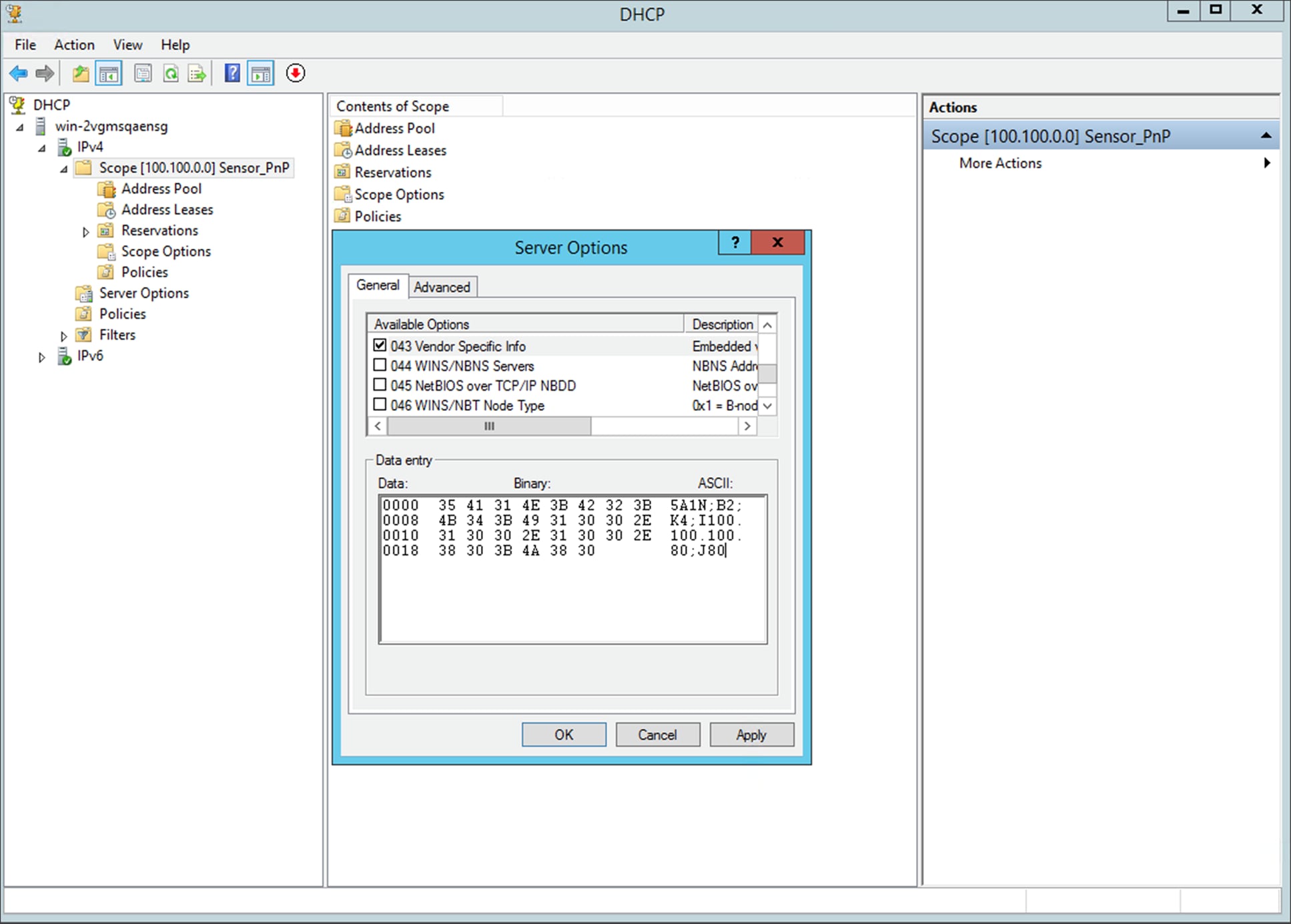 Option 43 sample configuration on Windows Server