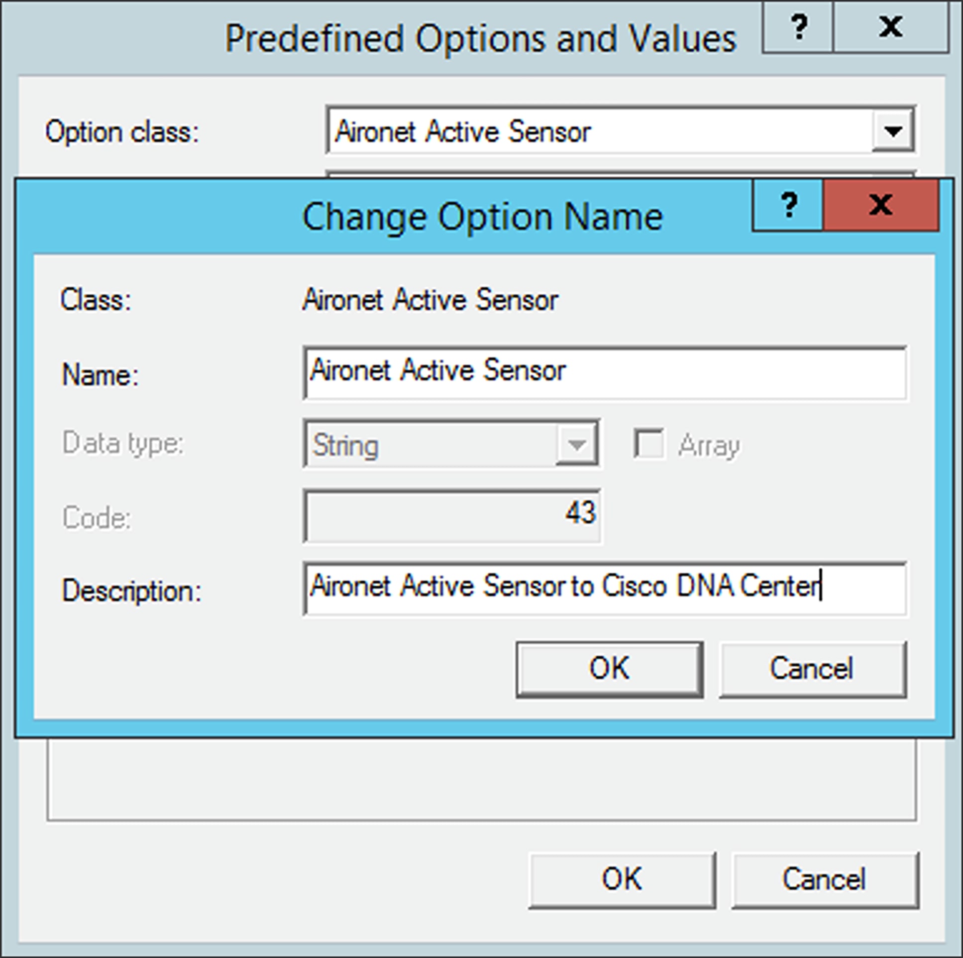 Specifying information for the option type in Windows Server
