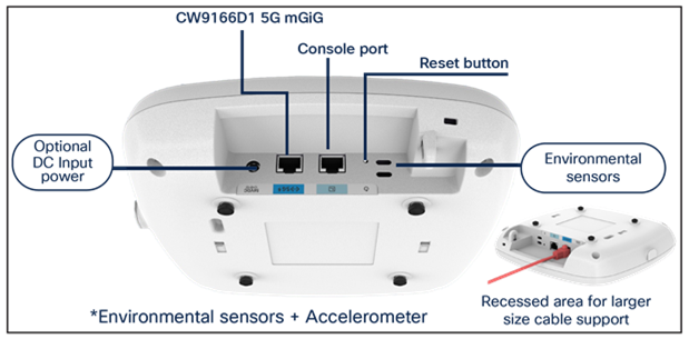 Physical ports and buttons of the Catalyst CW9166D1