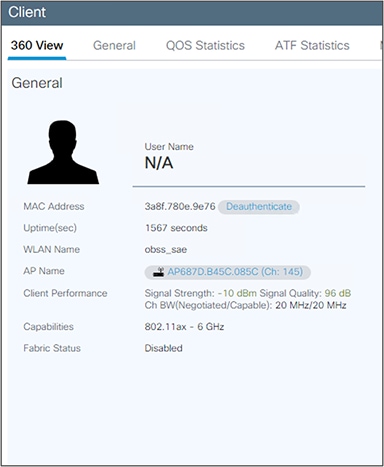 Wi-Fi 6E wireless client metadata