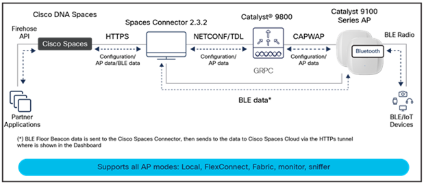 IoT radio on the Catalyst CW9166D1 topology