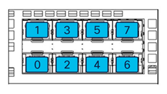 10G/1G ports