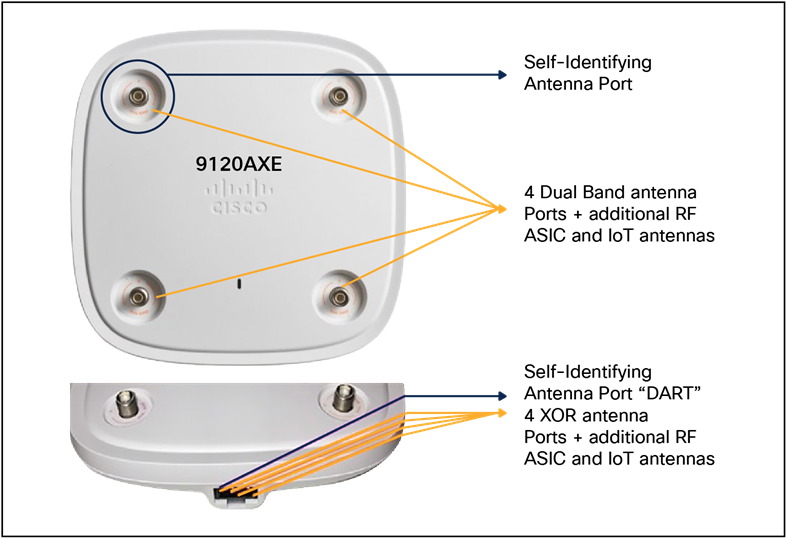 Catalyst 9120 antenna ports