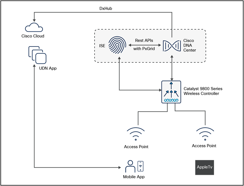 UDN solution topology