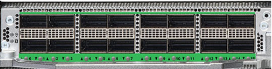16 port QSFP28 MPA