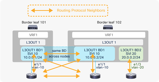 L3Out BD and routing protocol neighbors