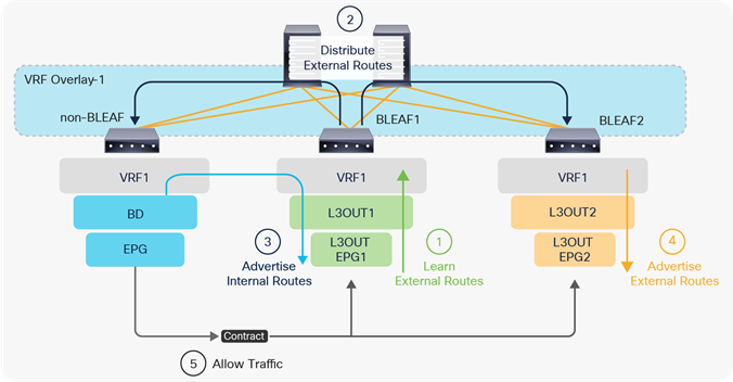 The five basic components of L3Out