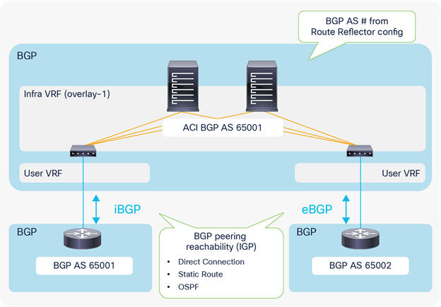 ACI and BGP AS