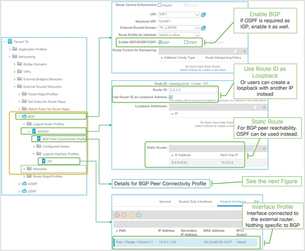 EBGP peering with loopback in GUI (APIC Release 3.2)