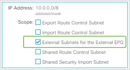 External Subnets for the External EPG