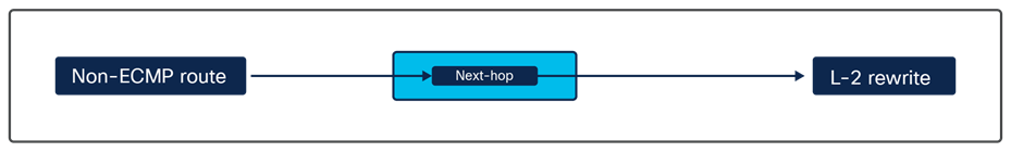 How Layer-2 rewrite information is derived for a non-ECMP route