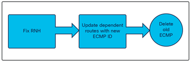 ECMP record update flow