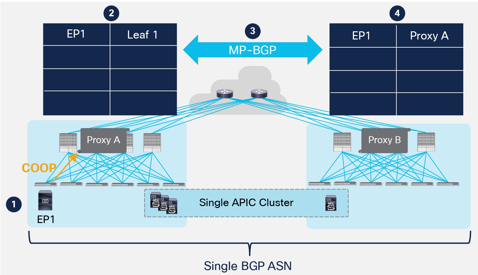 MP-BGP Control Plane across Pods