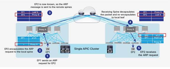 ACI Multi-Pod White Paper - Cisco
