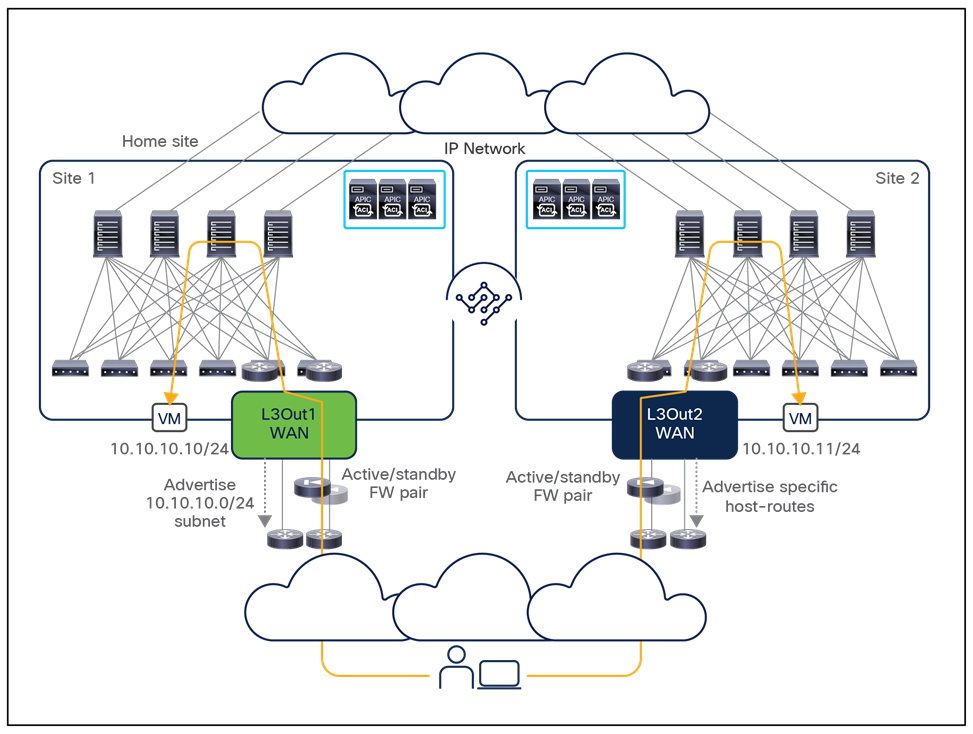 Optimized inbound/outbound traffic flows with host-route advertisement