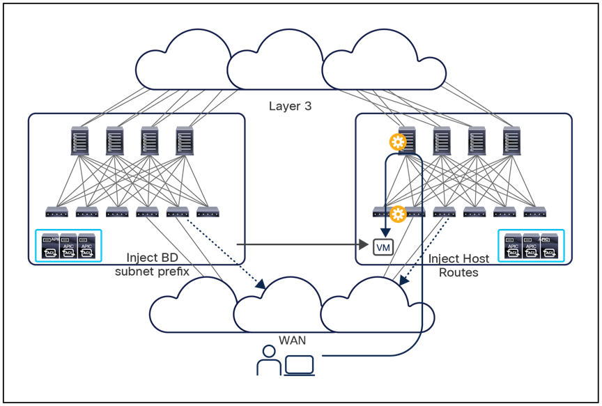 Host-route advertisement on border leaf L3Outs