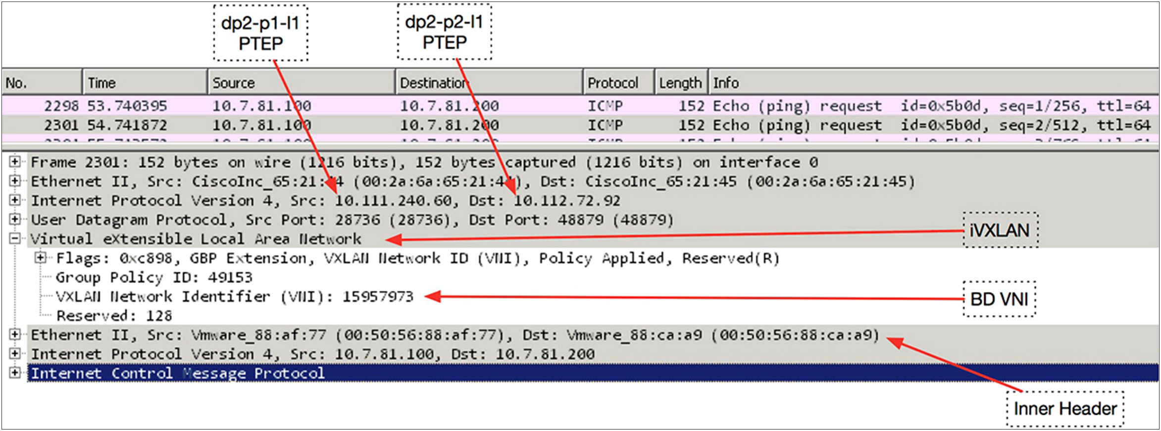 Packet Capture to examine iVXLAN header