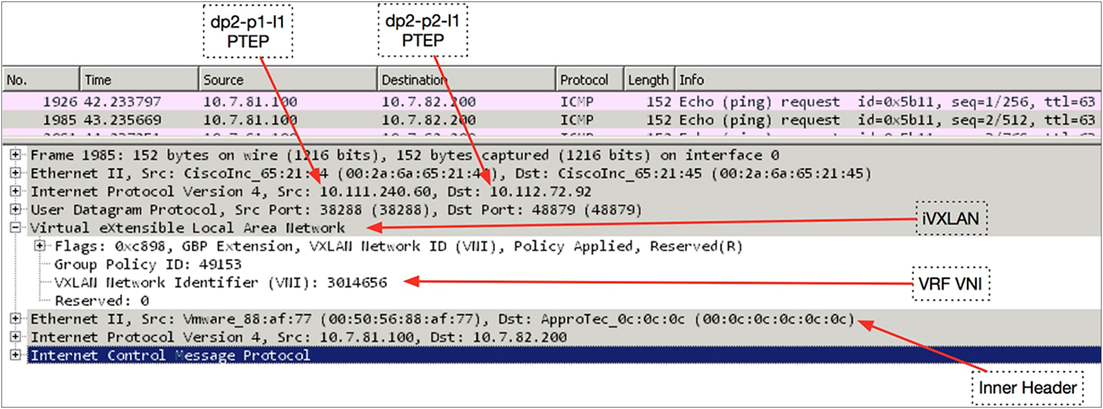 Decoding the packet capture between two IPN switches