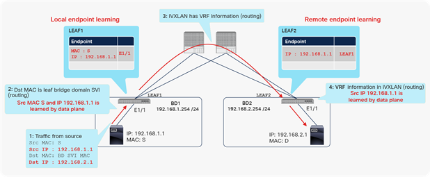 Example of local and remote endpoint (MAC address) learning