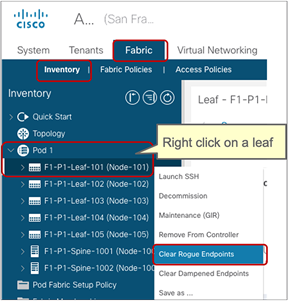 How to clear rogue endpoints on a leaf