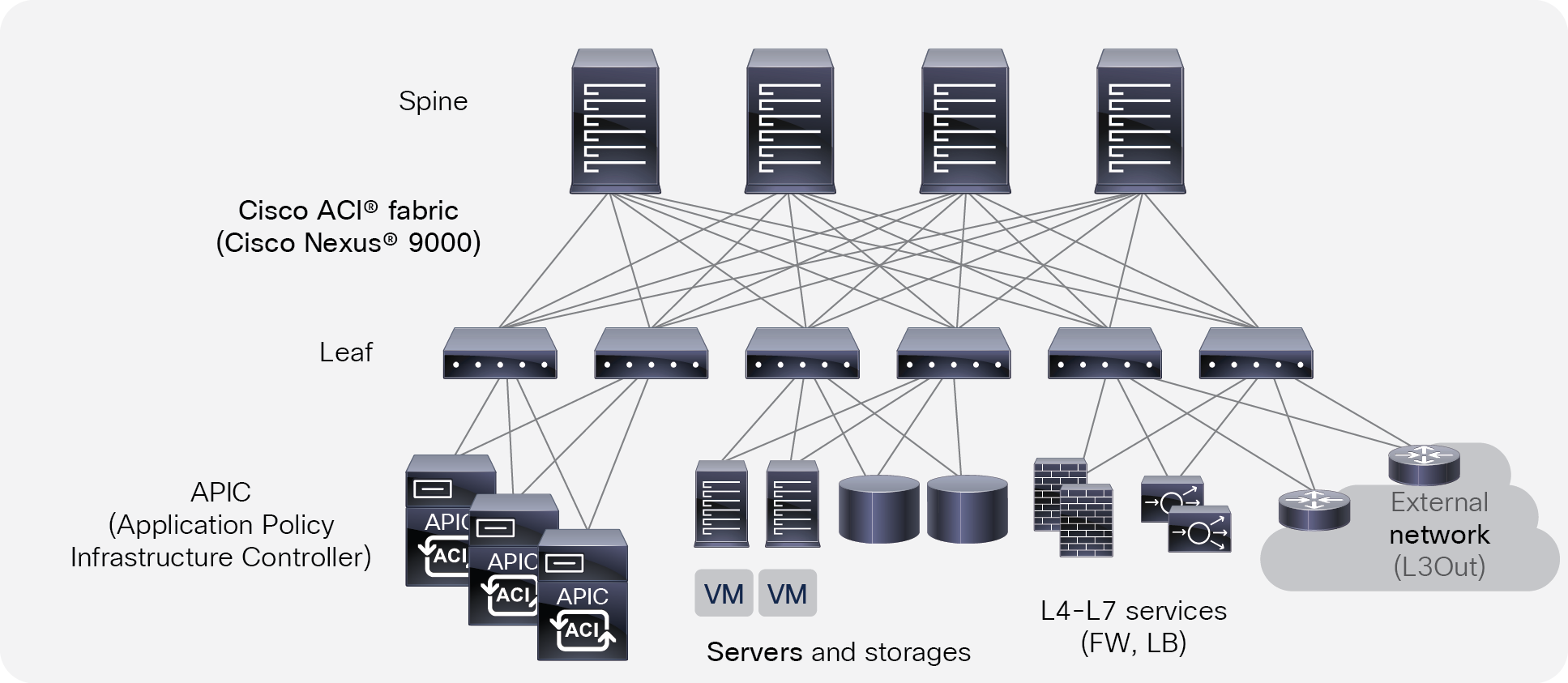 Cisco ACI topology