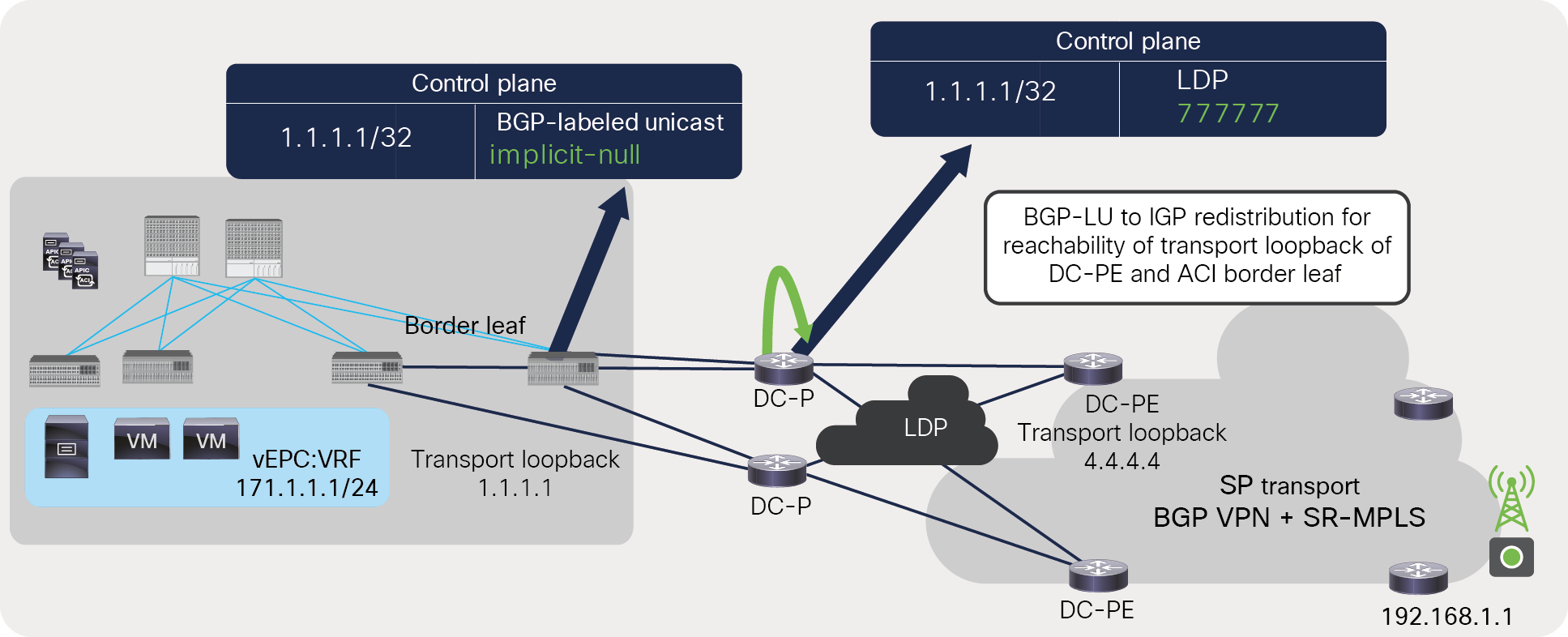 Label advertisement for ACI border leaf’s transport loopback across MPLS LDP network