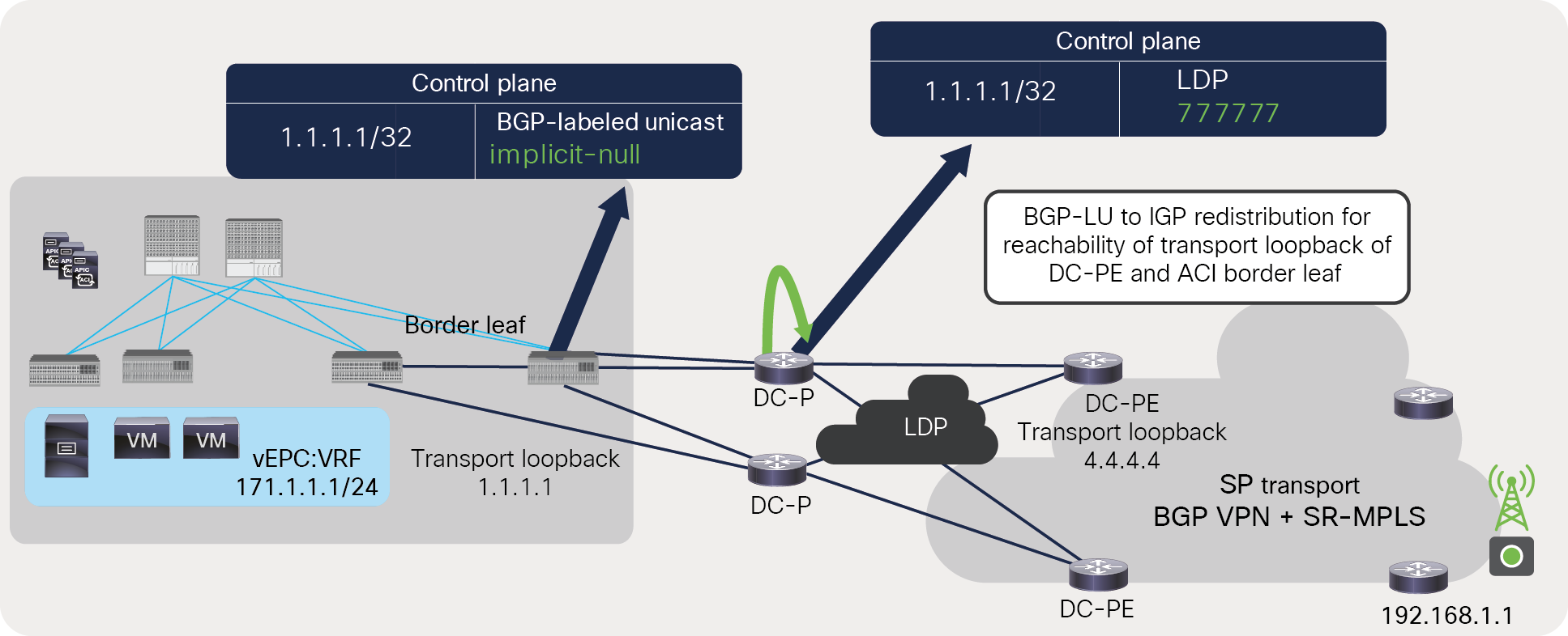 Label advertisement for ACI border leaf’s transport loopback across MPLS LDP network