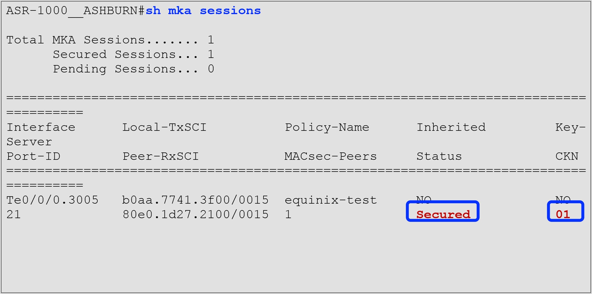 Output and status for the MKA session and CKN in operation